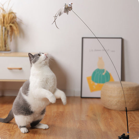 Stalen Draad Veer Grappige Kattenstok Lange Stang